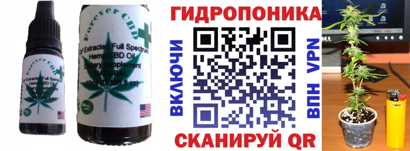 Canna-Cookies конопля Дагестанские Огни