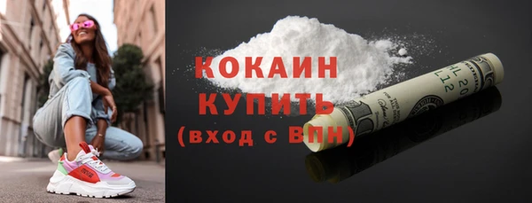 соль ск Богданович
