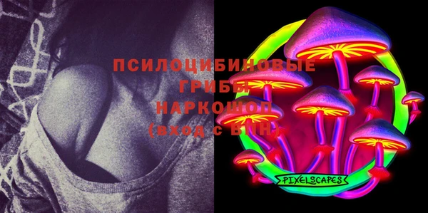 стафф Богородицк