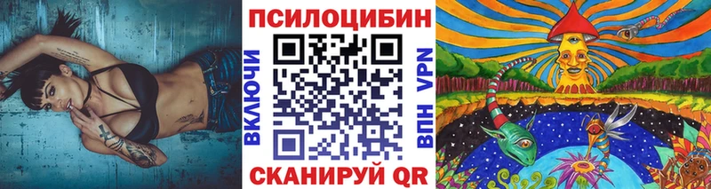 блэк спрут как войти  Дагестанские Огни  Псилоцибиновые грибы Psilocybe 
